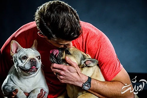 روز جهانی سگ، وفادارترین دوست انسان